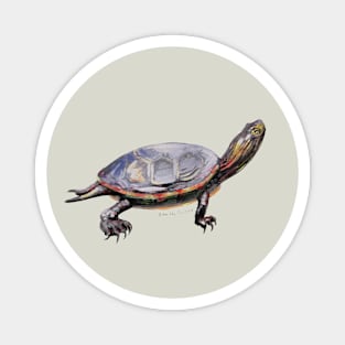 Painted Turtle painting Magnet